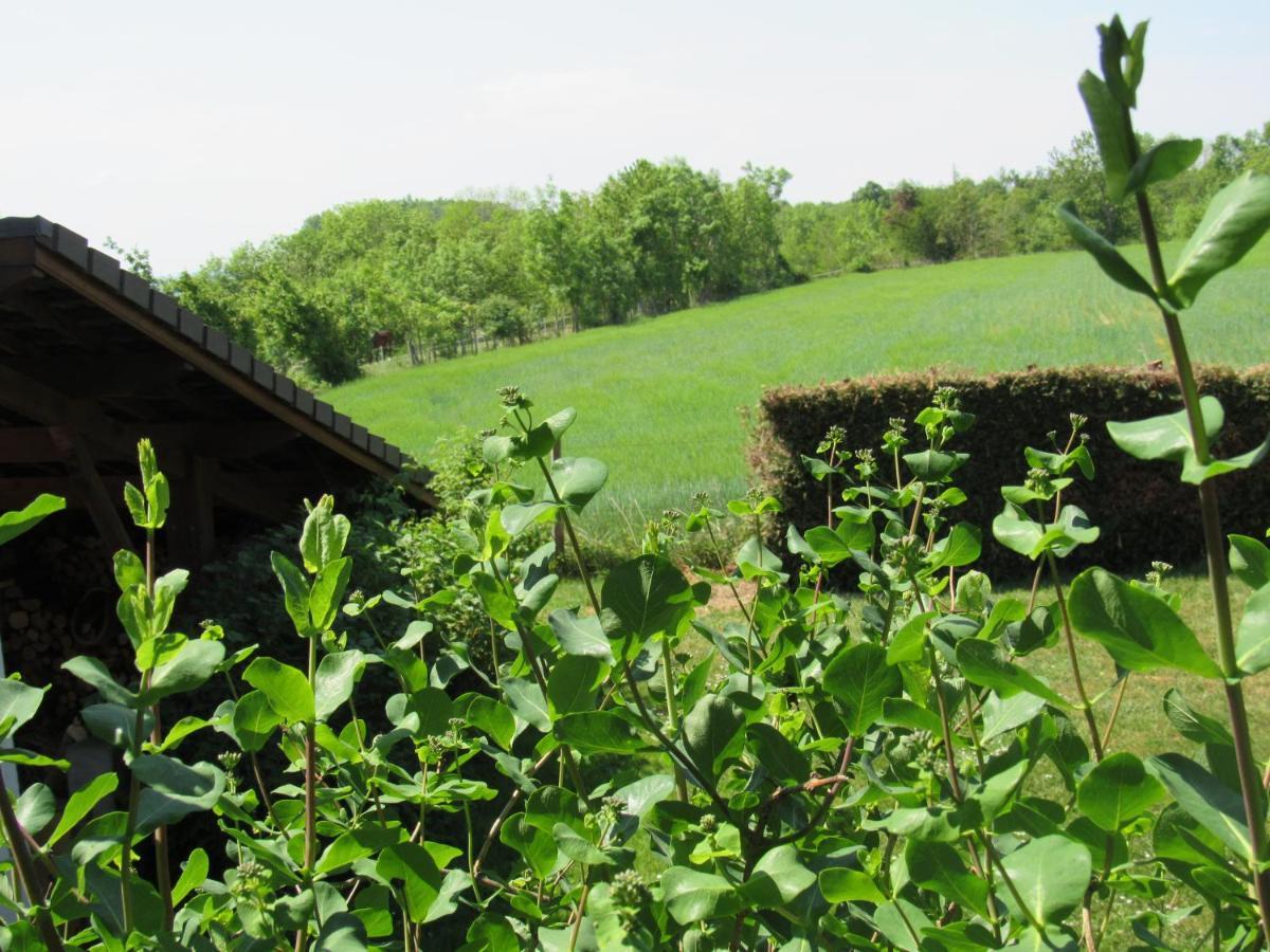 Le Temps D'une Pause Homestay